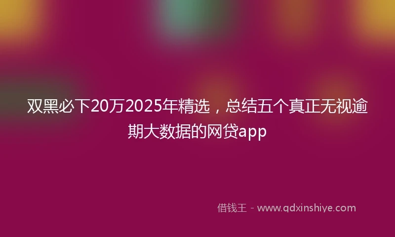 双黑必下20万2025年精选，总结五个真正无视逾期大数据的网贷app