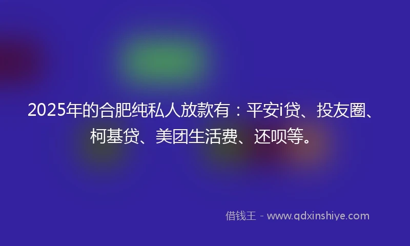 2025年的合肥纯私人放款有：平安i贷、投友圈、柯基贷、美团生活费、还呗等。