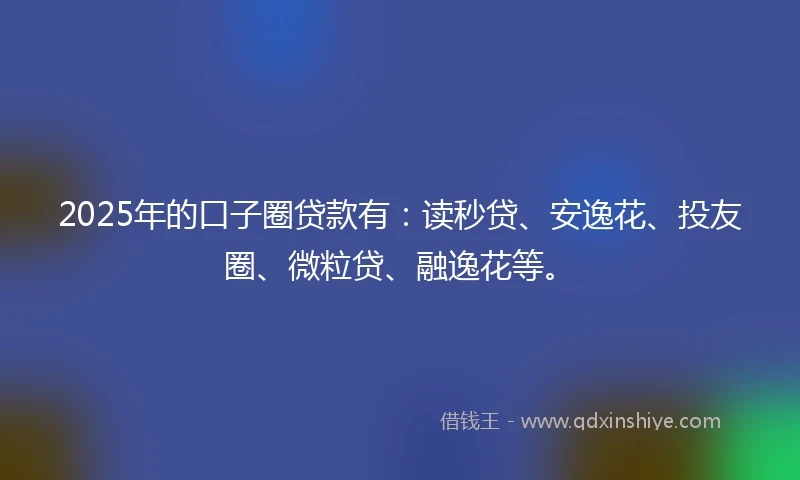 2025年的口子圈贷款有：读秒贷、安逸花、投友圈、微粒贷、融逸花等。