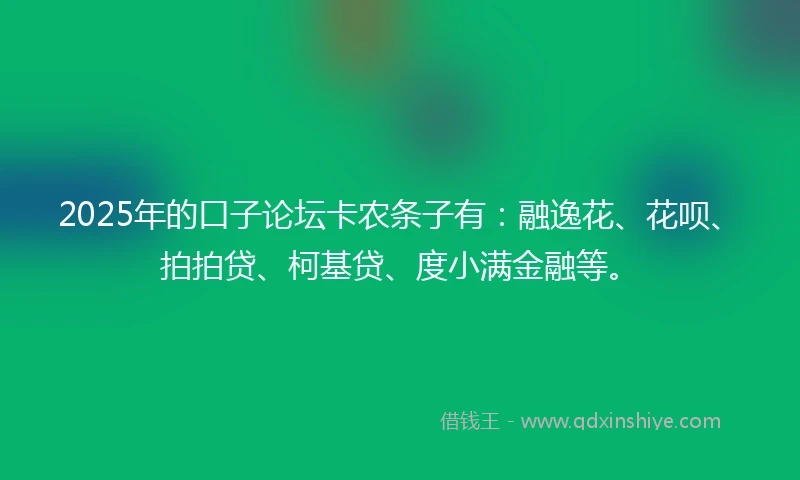 2025年的口子论坛卡农条子有：融逸花、花呗、拍拍贷、柯基贷、度小满金融等。