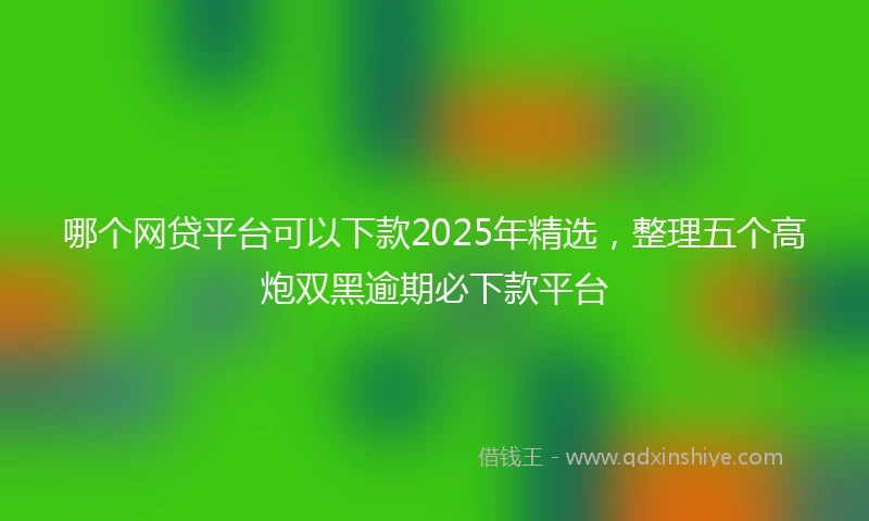哪个网贷平台可以下款2025年精选，整理五个高炮双黑逾期必下款平台