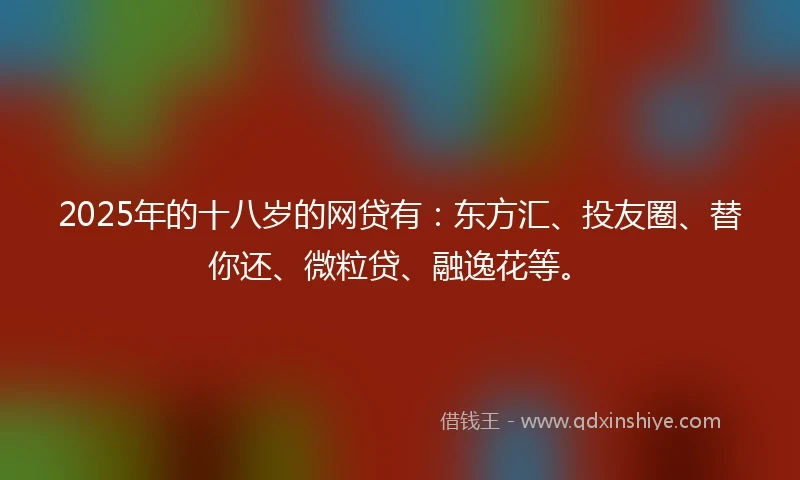 2025年的十八岁的网贷有：东方汇、投友圈、替你还、微粒贷、融逸花等。