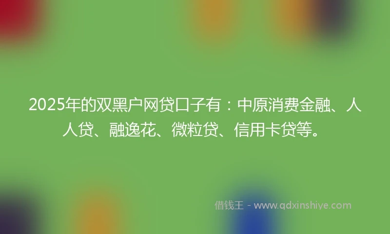 2025年的双黑户网贷口子有：中原消费金融、人人贷、融逸花、微粒贷、信用卡贷等。