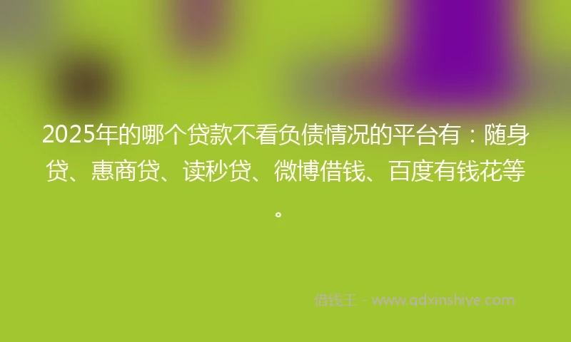 2025年的哪个贷款不看负债情况的平台有：随身贷、惠商贷、读秒贷、微博借钱、百度有钱花等。