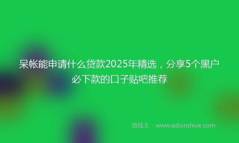 呆帐能申请什么贷款2025年精选，分享5个黑户必下款的口子贴吧推荐