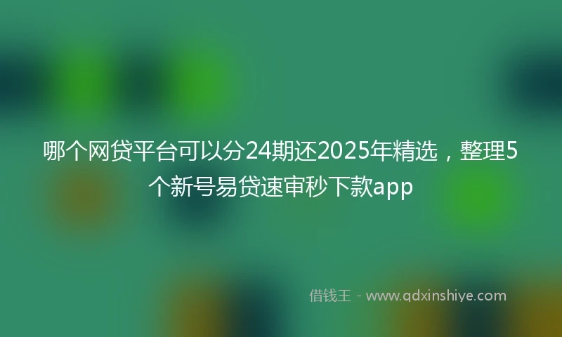 哪个网贷平台可以分24期还2025年精选，整理5个新号易贷速审秒下款app