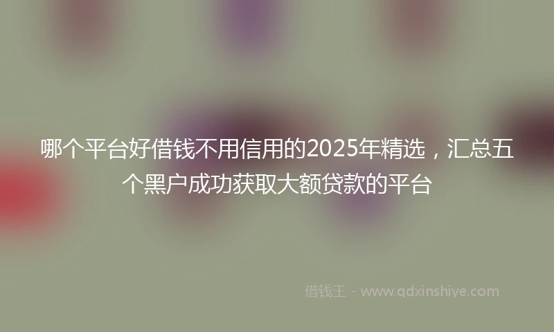 哪个平台好借钱不用信用的2025年精选，汇总五个黑户成功获取大额贷款的平台