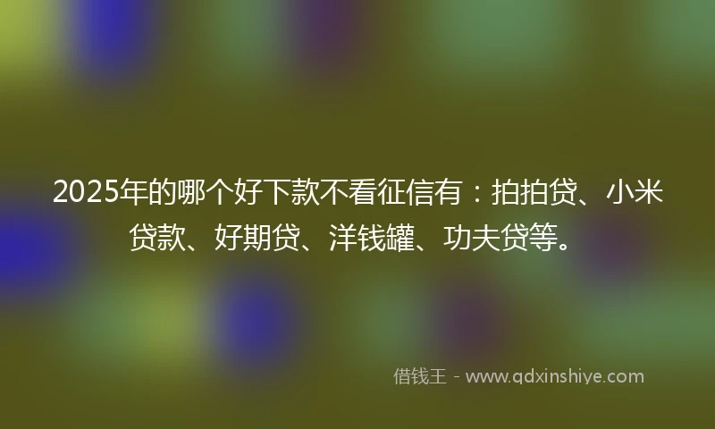 2025年的哪个好下款不看征信有：拍拍贷、小米贷款、好期贷、洋钱罐、功夫贷等。