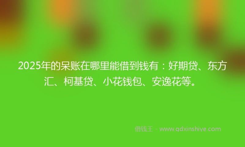 2025年的呆账在哪里能借到钱有：好期贷、东方汇、柯基贷、小花钱包、安逸花等。