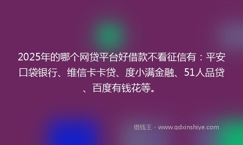 2025年的哪个网贷平台好借款不看征信有：平安口袋银行、维信卡卡贷、度小满金融、51人品贷、百度有钱花等。