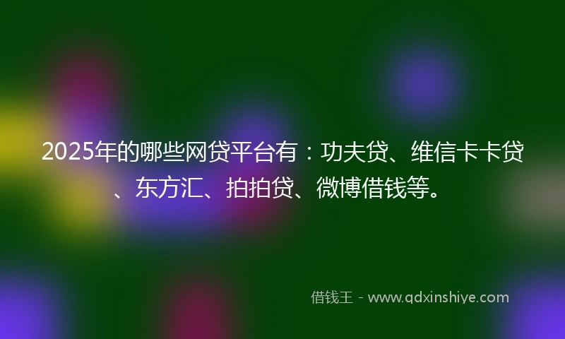 2025年的哪些网贷平台有：功夫贷、维信卡卡贷、东方汇、拍拍贷、微博借钱等。