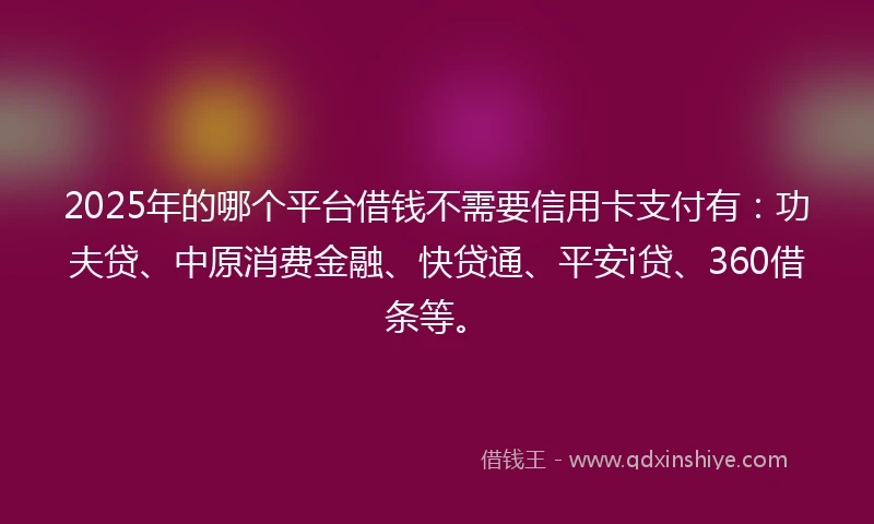 2025年的哪个平台借钱不需要信用卡支付有：功夫贷、中原消费金融、快贷通、平安i贷、360借条等。