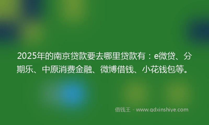 2025年的南京贷款要去哪里贷款有：e微贷、分期乐、中原消费金融、微博借钱、小花钱包等。
