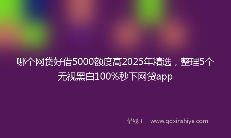 哪个网贷好借5000额度高2025年精选，整理5个无视黑白100%秒下网贷app