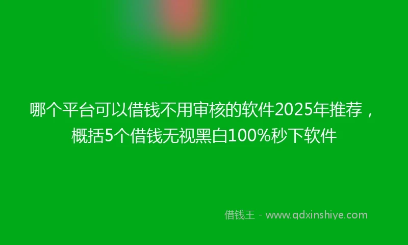 哪个平台可以借钱不用审核的软件2025年推荐，概括5个借钱无视黑白100%秒下软件