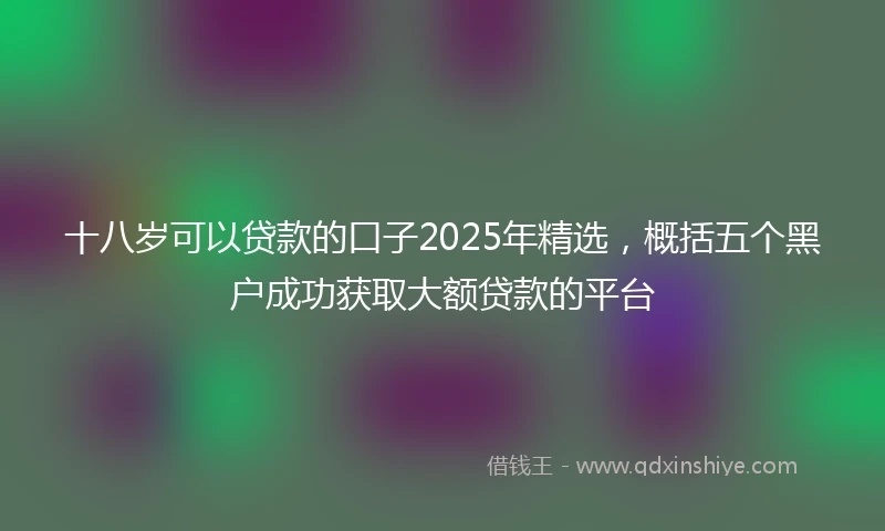 十八岁可以贷款的口子2025年精选，概括五个黑户成功获取大额贷款的平台