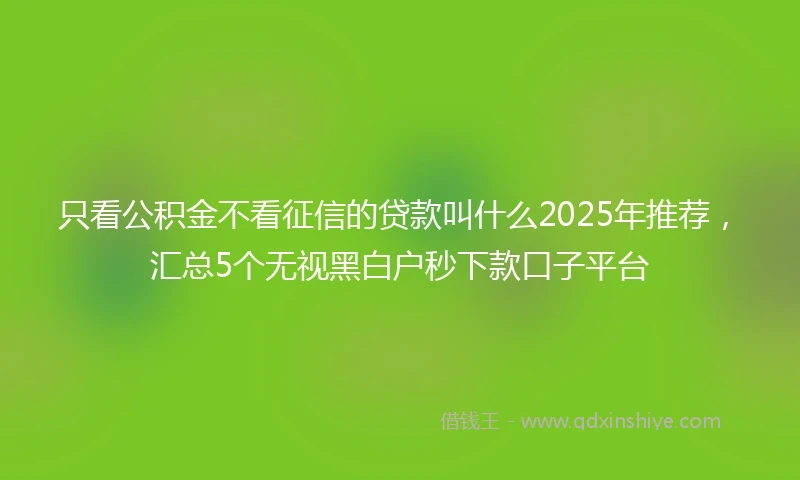 只看公积金不看征信的贷款叫什么2025年推荐，汇总5个无视黑白户秒下款口子平台