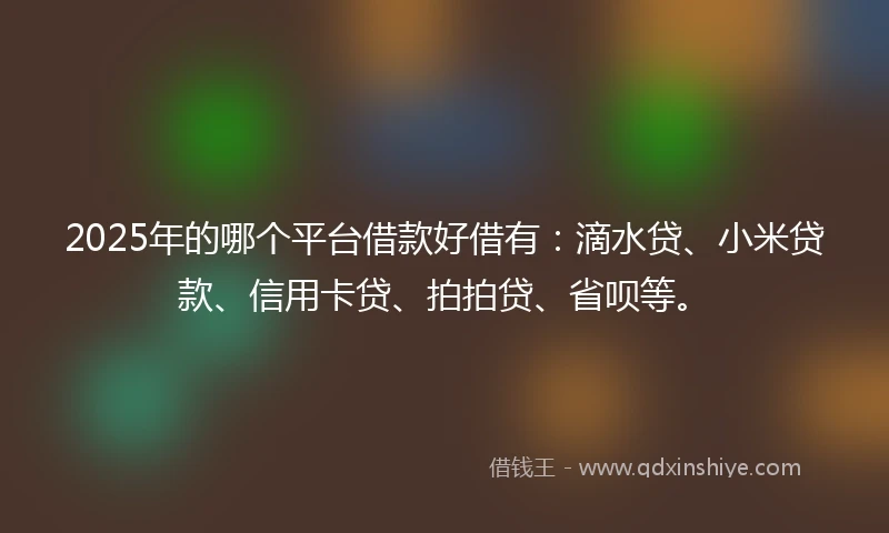 2025年的哪个平台借款好借有：滴水贷、小米贷款、信用卡贷、拍拍贷、省呗等。