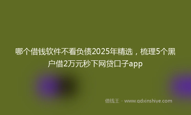 哪个借钱软件不看负债2025年精选，梳理5个黑户借2万元秒下网贷口子app