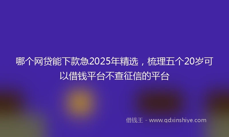 哪个网贷能下款急2025年精选，梳理五个20岁可以借钱平台不查征信的平台