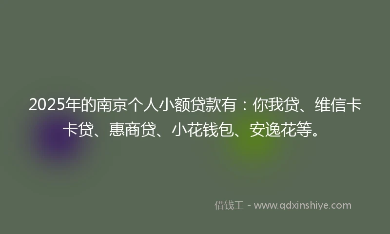 2025年的南京个人小额贷款有：你我贷、维信卡卡贷、惠商贷、小花钱包、安逸花等。