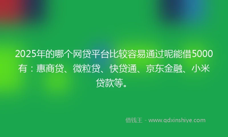 2025年的哪个网贷平台比较容易通过呢能借5000有：惠商贷、微粒贷、快贷通、京东金融、小米贷款等。