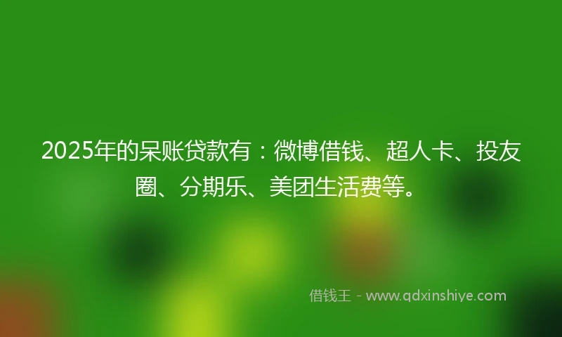 2025年的呆账贷款有：微博借钱、超人卡、投友圈、分期乐、美团生活费等。