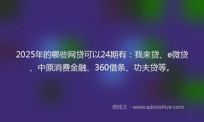 2025年的哪些网贷可以24期有：我来贷、e微贷、中原消费金融、360借条、功夫贷等。