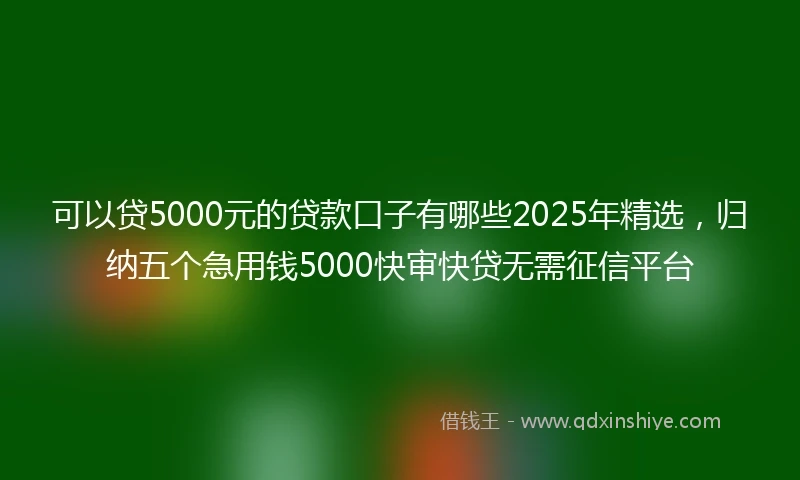 可以贷5000元的贷款口子有哪些2025年精选，归纳五个急用钱5000快审快贷无需征信平台