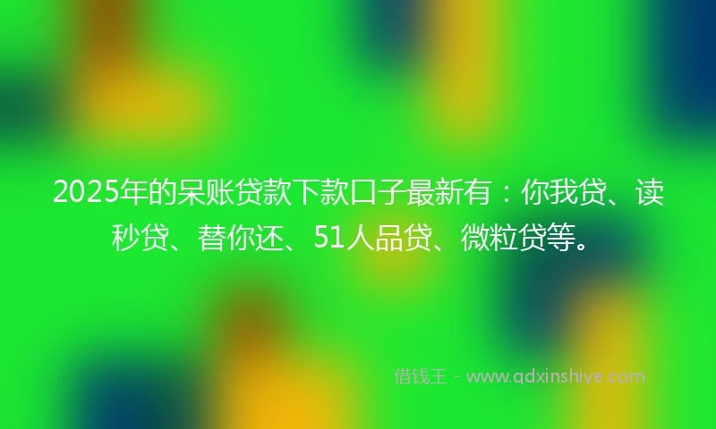 2025年的呆账贷款下款口子最新有：你我贷、读秒贷、替你还、51人品贷、微粒贷等。
