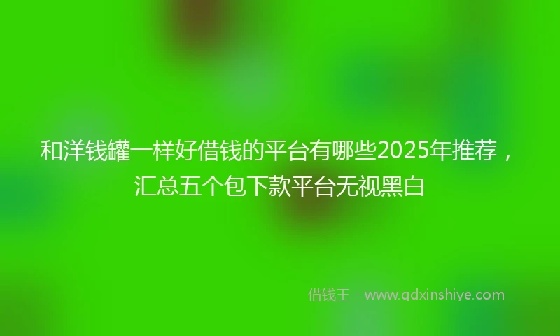 和洋钱罐一样好借钱的平台有哪些2025年推荐，汇总五个包下款平台无视黑白