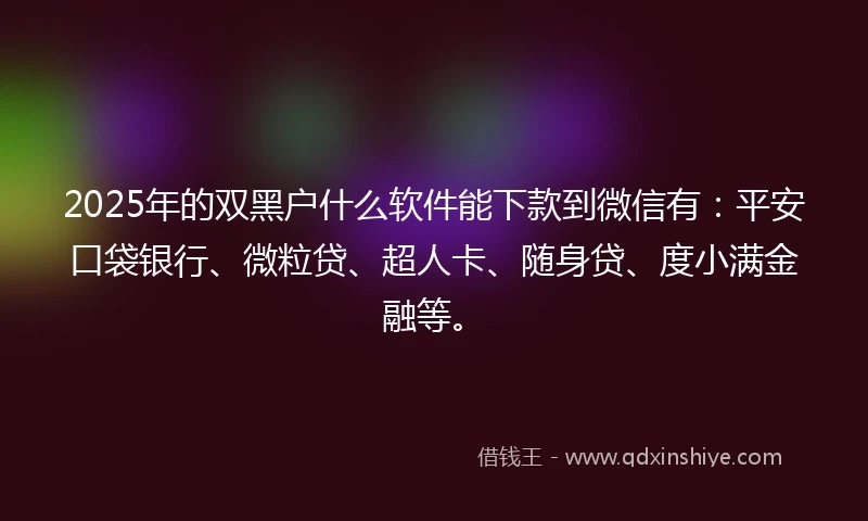 2025年的双黑户什么软件能下款到微信有：平安口袋银行、微粒贷、超人卡、随身贷、度小满金融等。
