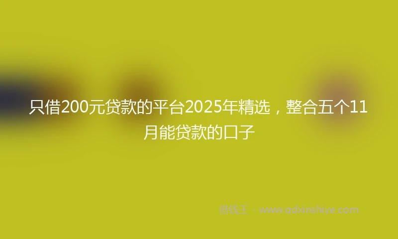 只借200元贷款的平台2025年精选，整合五个11月能贷款的口子
