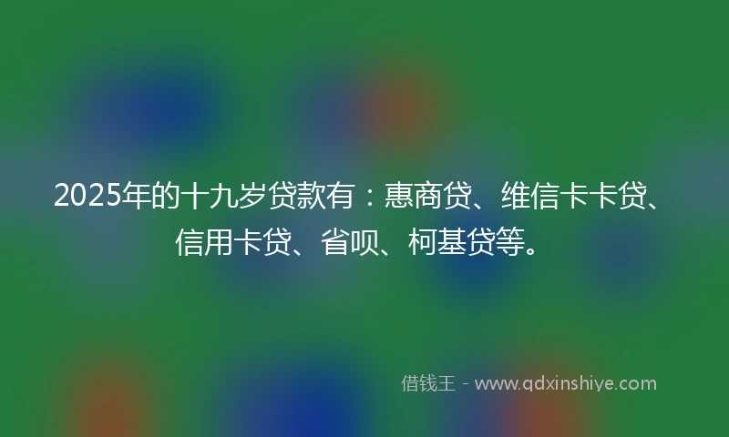 2025年的十九岁贷款有：惠商贷、维信卡卡贷、信用卡贷、省呗、柯基贷等。