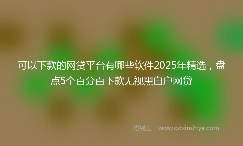 可以下款的网贷平台有哪些软件2025年精选，盘点5个百分百下款无视黑白户网贷