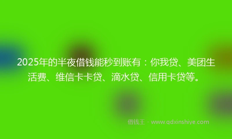2025年的半夜借钱能秒到账有：你我贷、美团生活费、维信卡卡贷、滴水贷、信用卡贷等。