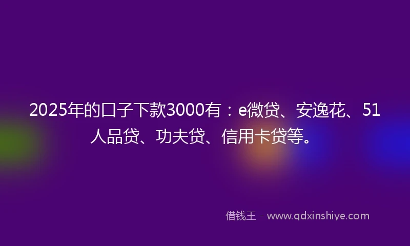 2025年的口子下款3000有：e微贷、安逸花、51人品贷、功夫贷、信用卡贷等。
