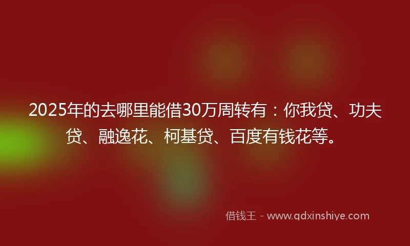 2025年的去哪里能借30万周转有：你我贷、功夫贷、融逸花、柯基贷、百度有钱花等。