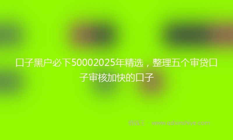 口子黑户必下50002025年精选,整理五个审贷口子审核加快的口子