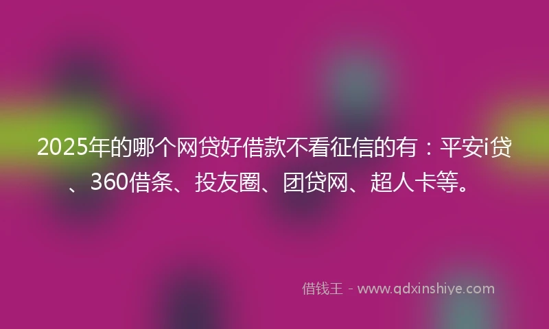 2025年的哪个网贷好借款不看征信的有：平安i贷、360借条、投友圈、团贷网、超人卡等。