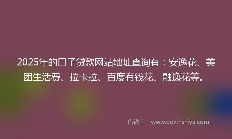 2025年的口子贷款网站地址查询有：安逸花、美团生活费、拉卡拉、百度有钱花、融逸花等。