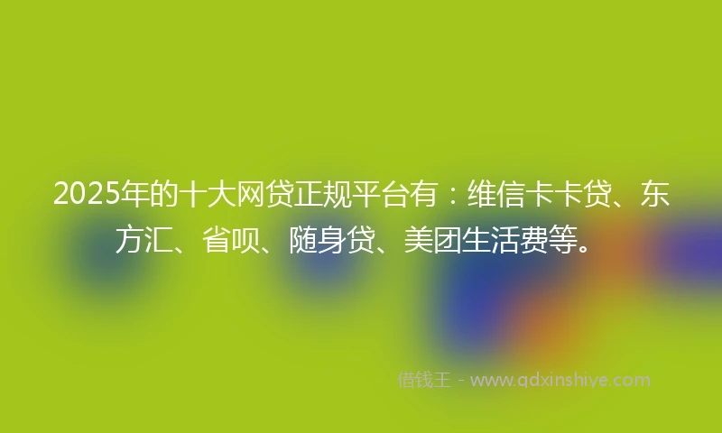 2025年的十大网贷正规平台有：维信卡卡贷、东方汇、省呗、随身贷、美团生活费等。