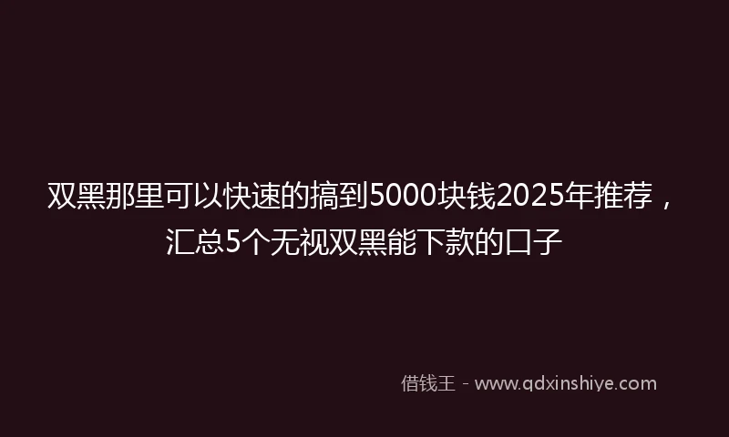 双黑那里可以快速的搞到5000块钱2025年推荐，汇总5个无视双黑能下款的口子