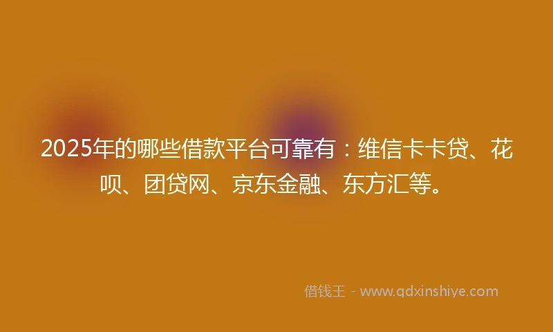 2025年的哪些借款平台可靠有：维信卡卡贷、花呗、团贷网、京东金融、东方汇等。