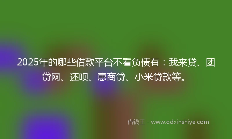 2025年的哪些借款平台不看负债有：我来贷、团贷网、还呗、惠商贷、小米贷款等。