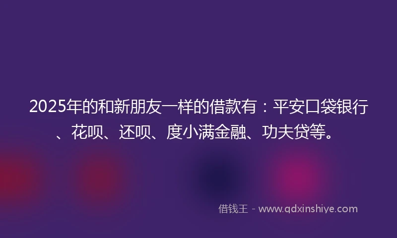 2025年的和新朋友一样的借款有：平安口袋银行、花呗、还呗、度小满金融、功夫贷等。