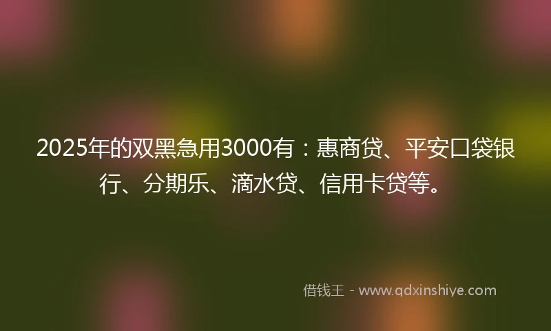 2025年的双黑急用3000有：惠商贷、平安口袋银行、分期乐、滴水贷、信用卡贷等。