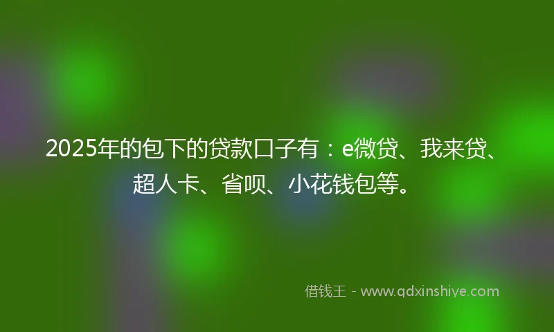 2025年的包下的贷款口子有：e微贷、我来贷、超人卡、省呗、小花钱包等。