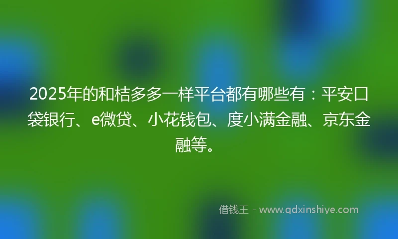 2025年的和桔多多一样平台都有哪些有：平安口袋银行、e微贷、小花钱包、度小满金融、京东金融等。