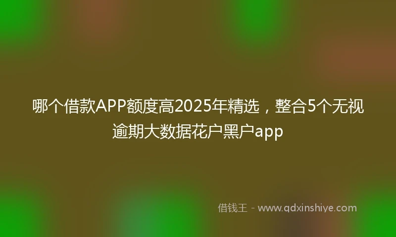 哪个借款APP额度高2025年精选，整合5个无视逾期大数据花户黑户app